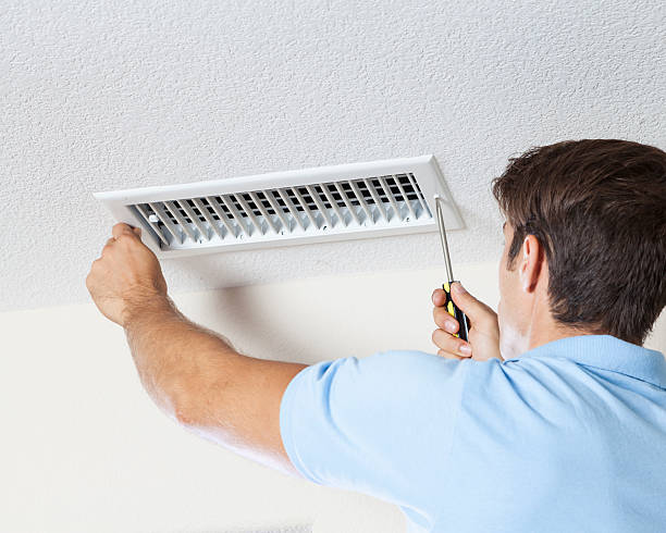 Mold Remediation for Vacation Homes in Earlington, KY