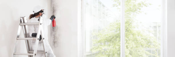Best Industrial Mold Remediation  in Earlington, KY