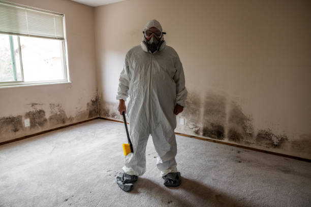 Best Asbestos and Lead Testing During Mold Inspection  in Earlington, KY