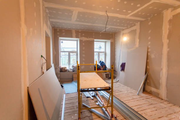 Best Basement Mold Removal  in Earlington, KY