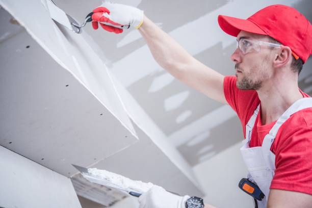Best Commercial Mold Inspection  in Earlington, KY